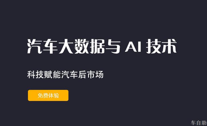 汽车智囊系统